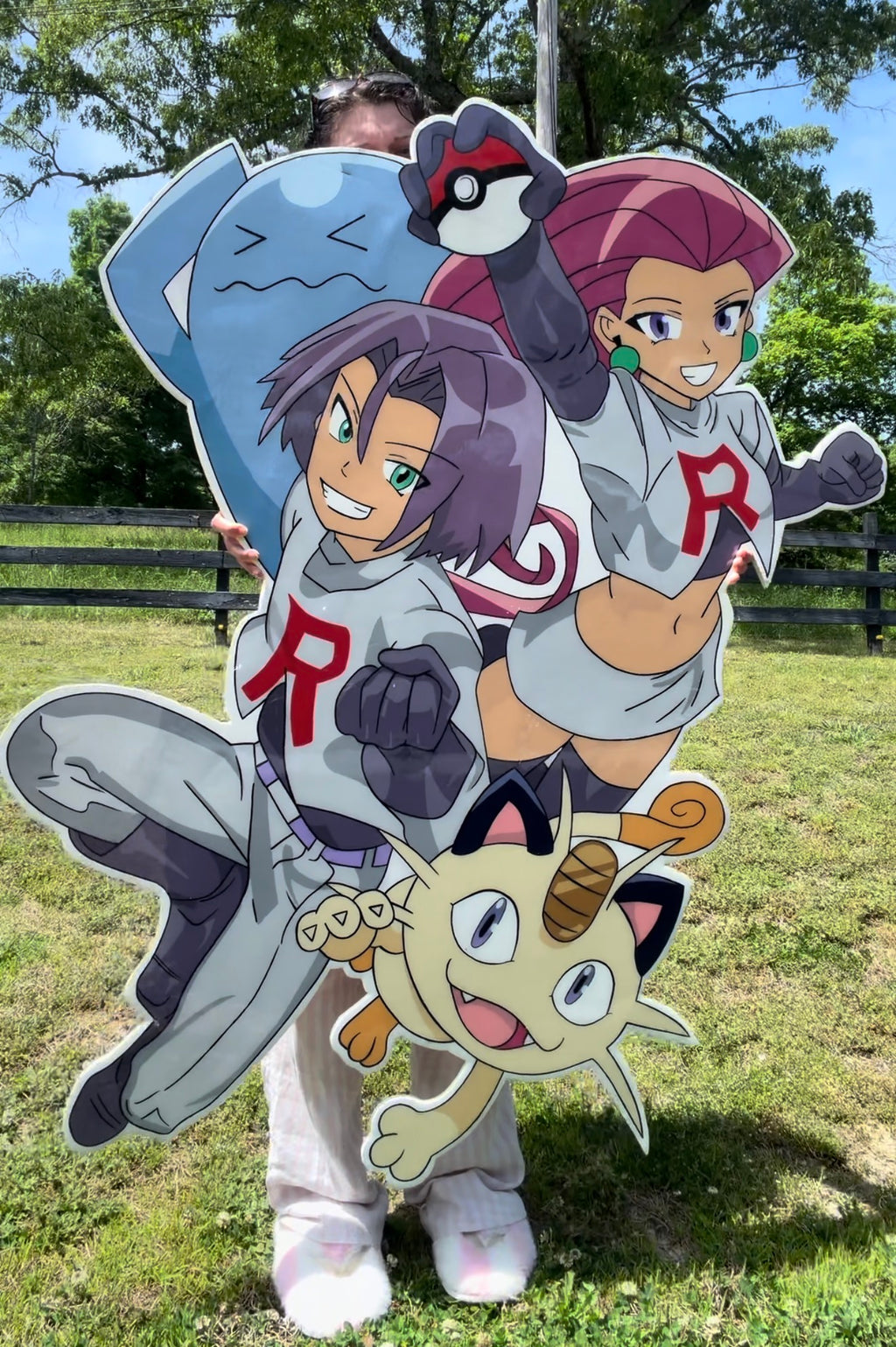 Team Rockets Wall Board