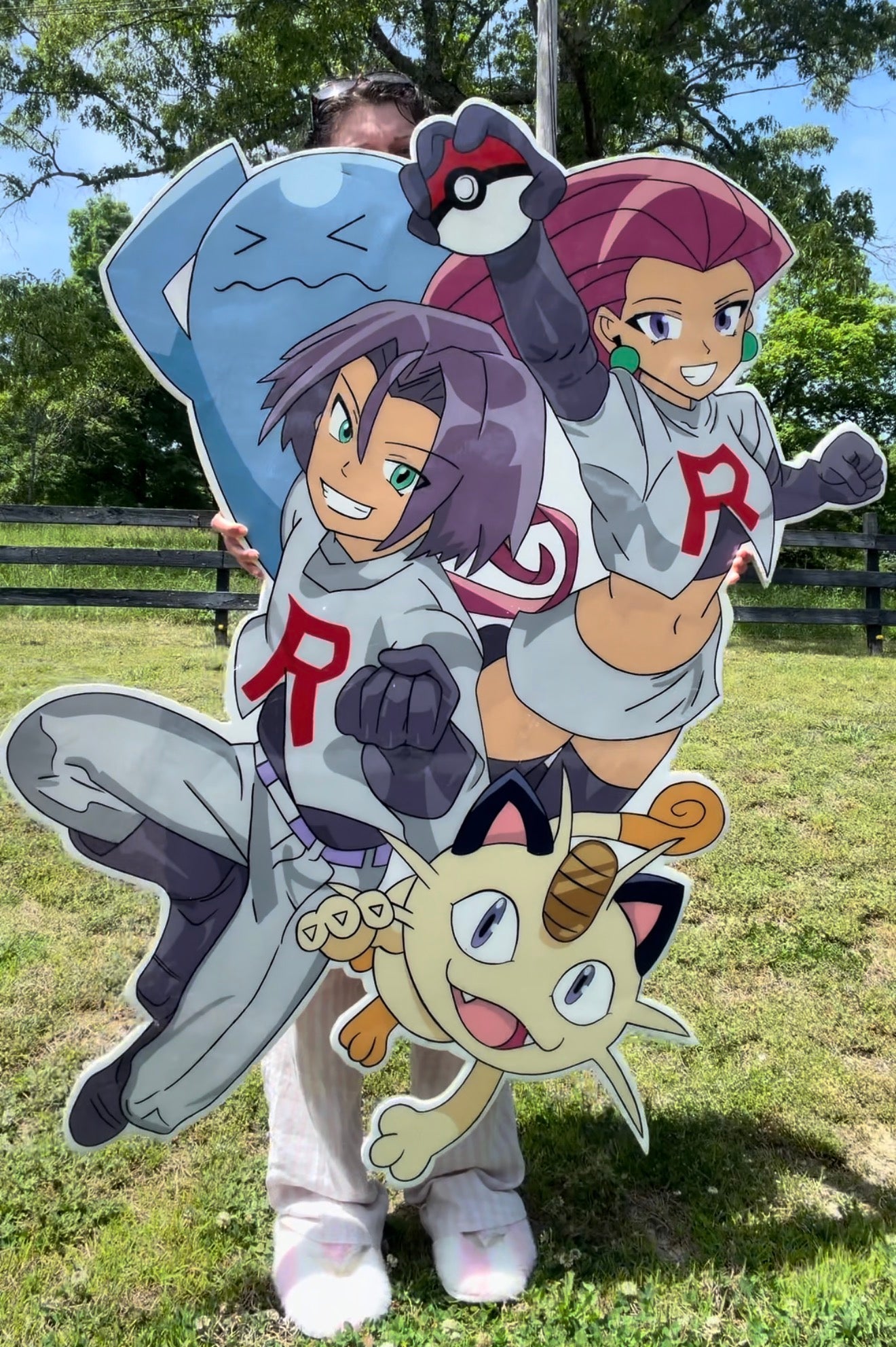 Team Rockets Wall Board